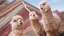 5 days tour to Machupicchu, Sacred Valley and Rainbow Mountain in small group