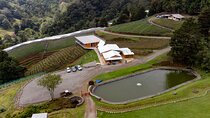 Wine Tour and Tasting