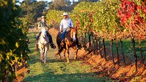 Guided Horseback Tour only 30 mins from Sedona. 