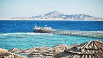 Tiran Island Diving Day Trip By Boat from Sharm el-sheikh