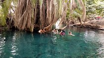 Private Tour to Materuni Waterfalls, coffee tour & Kikuletwa Hot Springs