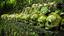Trunyan Cemetery, Hot Spring, Penglipuran Village, and Waterfall Tour