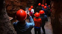 Cradle of humankind and lesedi cultural village tour