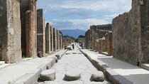 Pompeii and Herculaneum with Wine Tour