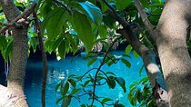 Maalum Zanzibar; Prison Island; The Island Pongwe; Baraka Aquarium; Kendwa Beach