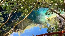 Maalum Zanzibar; Spice Tour; The Island Pongwe; Baraka Aquarium; Kendwa Beach