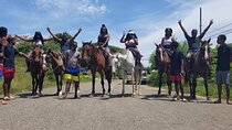 Horseback Ride and Swim in Ocho Rios with Transportation