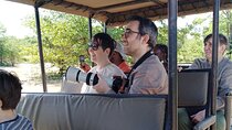 A Game Drive Plus White Rhino Short Walk 