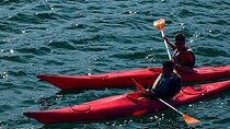 Cairo Kayak on The Nile River