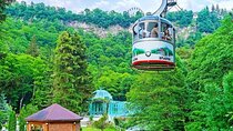 Borjomi National Park Full Day Private Tour From Tbilisi