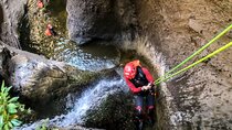 Radical Activity and Adrenaline in Santa Cruz de Tenerife with Guide