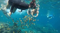 Manta Bay and Diamond Beach Private Snorkeling Tour with Lunch