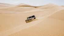 4x4 Desert Safari, Sandsurf, and Camel Ride from cairo with Lunch