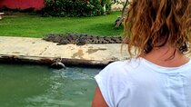 Omar's Black river Safari, YS Falls tour from montego bay 