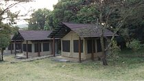 6 Days in Masai Mara Interactiv, Lake Nakuru and Amboseli 