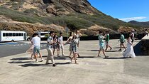 North Shore & Circle Island Tour (Not Private)