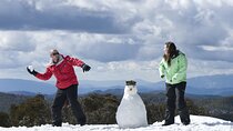 Full-Day Mount Buller Tour