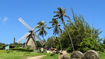Barbados Shore Excursion: Bajan Highlights