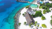 Full Day Tour, Cozumel with diving, Snorkeling and Tequila Tasting