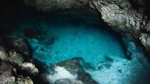 Kuza Cave Tour, Paje Beach, The Rock, Jozani Forest, Stone Town, Secret Garden