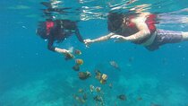 Amazing Nusa Penida Snorkeling Experience