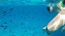 Blue Lagoon trip with Transfer from Paphos including 1 hour swim 