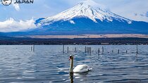 MT. FUJI/ Private Tour delivered and guided by a top-tier driver