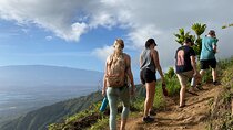 Amazing Maui Ridge Hike