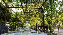 Wine Tasting Including Lunch