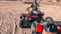 Quad biking with Camel ride & Beduin dinner 