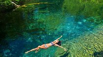 Half Day Tour in Punta Cana to Indigenous Eyes and Catamaran Ride