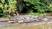 Multi-day all inclusive at Tortuguero with a tour at National Park from San Jose