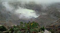 Poas Volcano + Coffee tour + Waterfall tour day from San Jose 