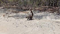 Full day Hiking Manuel Antonio and watching wild life at nature from San Jose