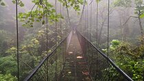 Hanging bridges and Zip line from Port Cardera especially for cruises