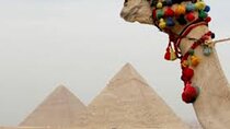 Cairo Tour To Giza Pyramids Egyptian Museum And Citadel
