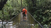Zip line Canopy half day adventure tour near San Jose Costa rica in San Ramon