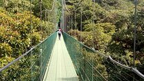 Zipline. Butterfly Garden and Hanging Bridges Tour from San Jose 