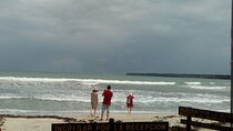 Half-Day Wildlife Hiking Tour of Cahuita National Park