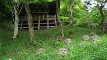 Private Walking Tour in Bamboo Forest & Hidden Spots in Arashiyama