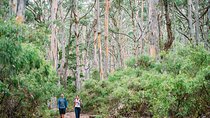Busselton, Margaret River and Augusta 2-Day Tour from Perth