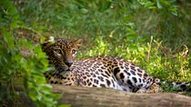 2 Days Tour to Wilpattu & Anuradhapura from Colombo
