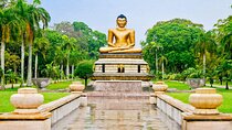 2 Days Private Vehicle With Driver in Sri Lanka 