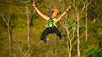 Canopy Zipline Tour from San Jose 