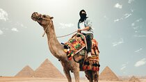Private Day Trip to Cairo from Sharm by Air