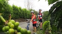 4-Days Biking and Hiking in Cocora Valley - Nature, Coffee & Real Culture 