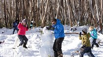 Private Snow Tour in Yarra Valley with 2 Nights Accommodation