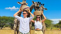 1Day Visiting Wildlife farm and Materuni waterfalls