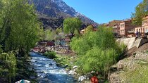Ourika Valley and Atlas Mountains Day Trip 