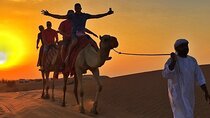 Desert Safari and Camel Adventure Tour